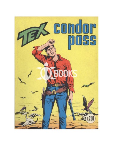 Collana Tex Gigante 134