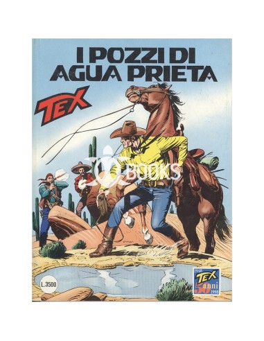 Tex - numero 453 - I pozzi di Agua Prieta