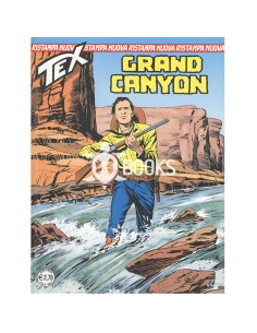 Tex Nuova Ristampa - numero 202 - Grand canyon